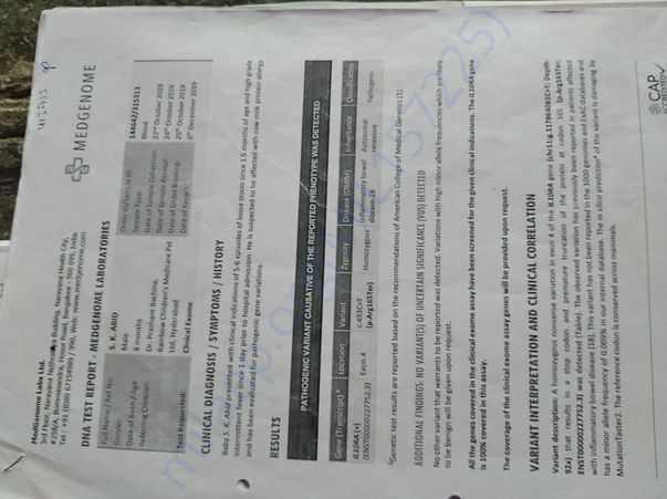 Test report