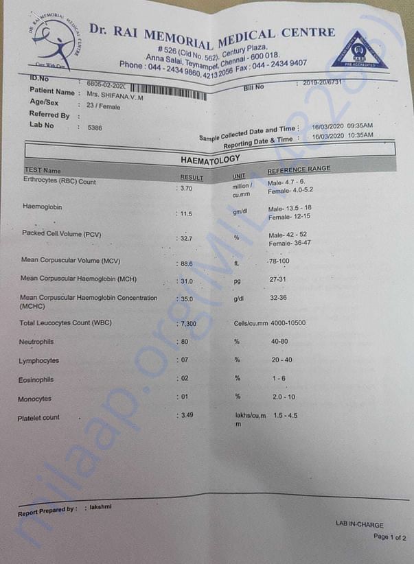 Hematology Report