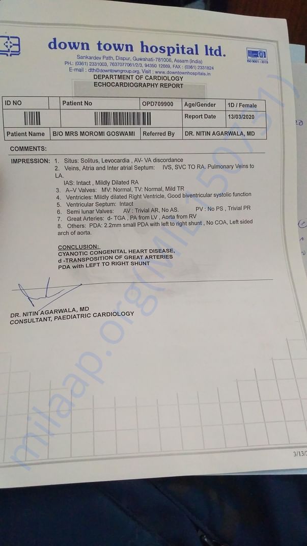 Echocardiography report