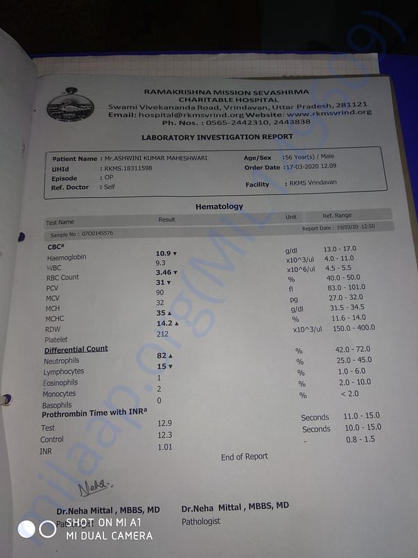 Document