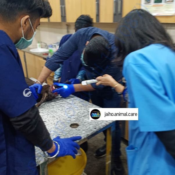 please help Jullie