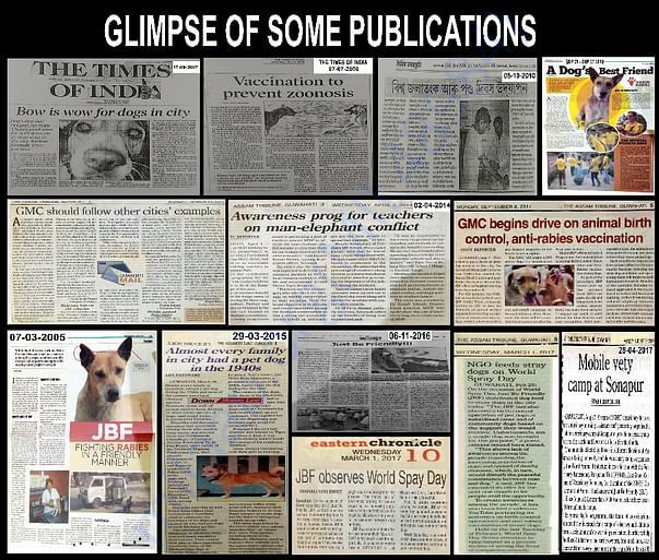 Newspaper Publications