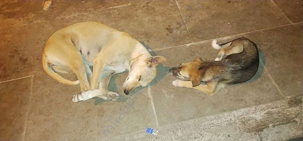 Mother and daughter asleep with full tummies