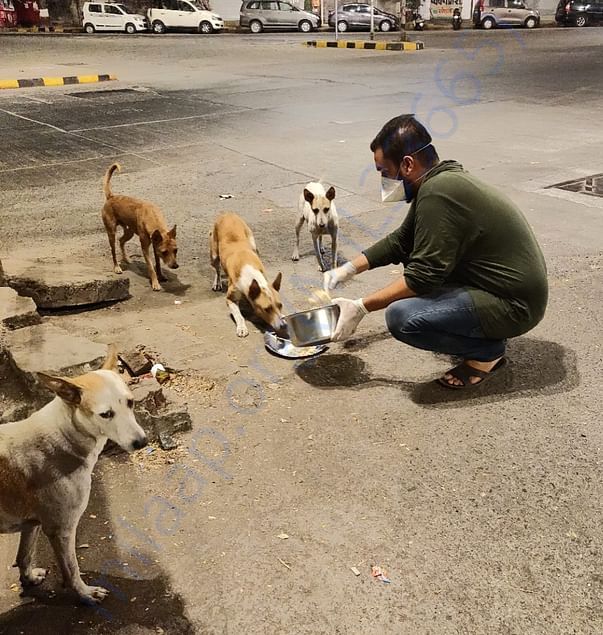 Dinner time