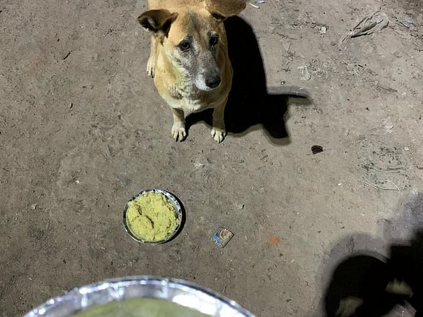 Help Voiceless At Sewa Nagar