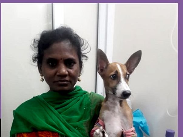 Help Kala, The Rescuer Who Never Turns Down An Animal In Need