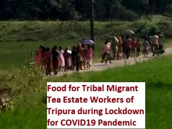Food For Migrant Tribal Tea Estate Workers- COVID19 Pandemic Relief