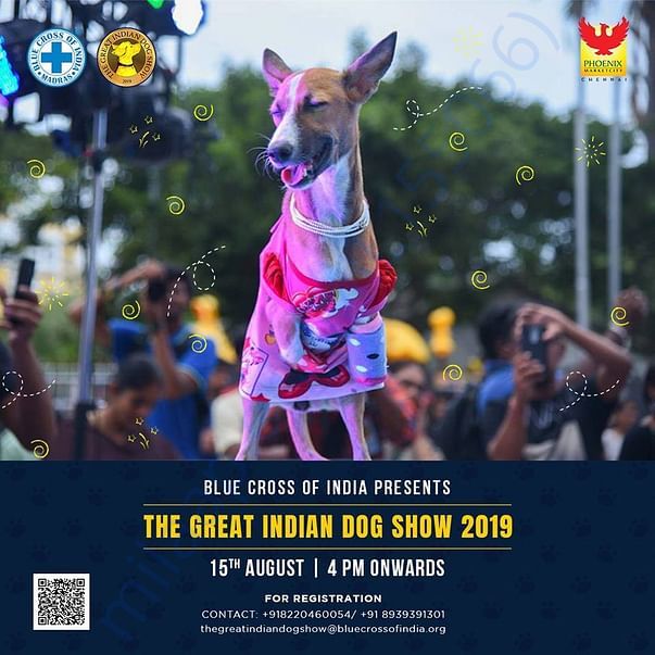Pattu was the star of Great Indian Dog show