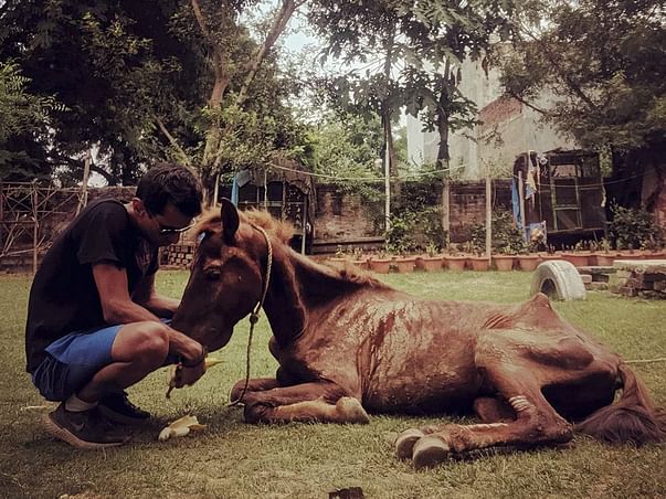 Help CYRO Feed The Animals In our Shelter
