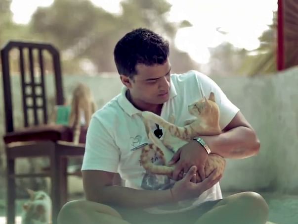 Help Him Feed & Save Strays And Abandoned Pets During COVID Pandemic