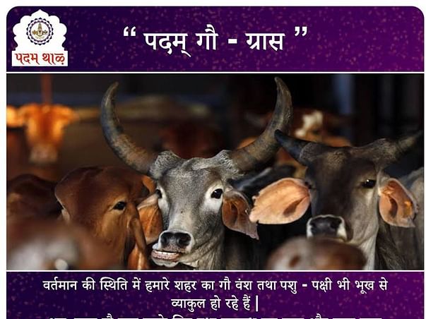 Help Padam Go-Grass to feed these animals