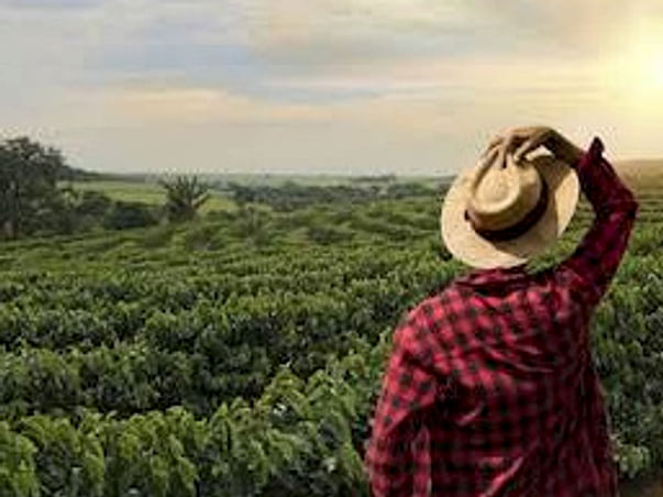 Motivating Farmers For Farming And Informing Them About New Technology