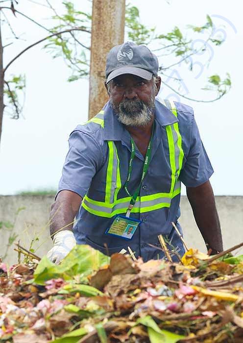 Watch Mariappan at work