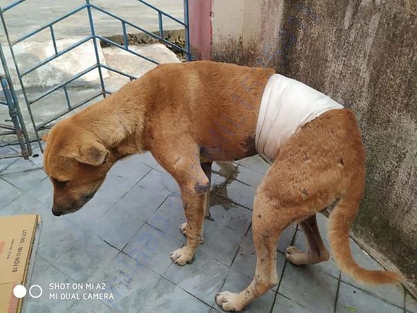 after the operation, recovering quickly