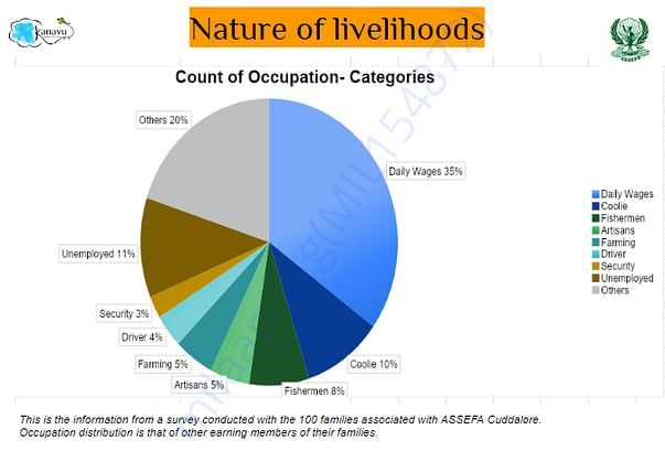 Landscape of livelihoods of the 100 families