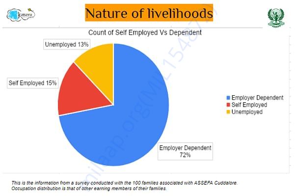 Landscape of livelihoods of the 100 families_Part 2
