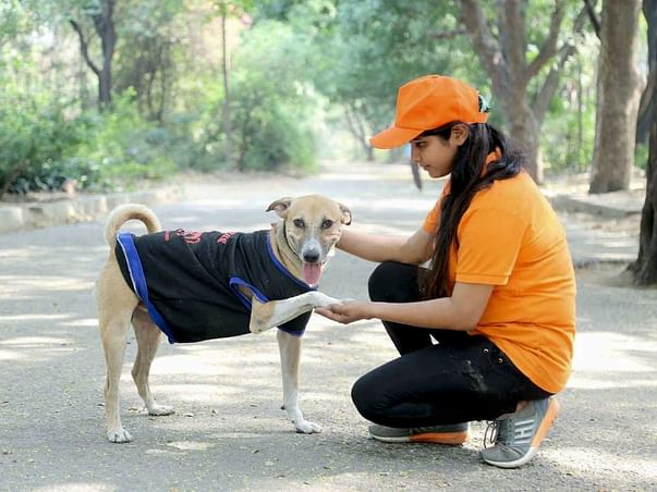 Help abandoning dogs and other pets for food water and shelter