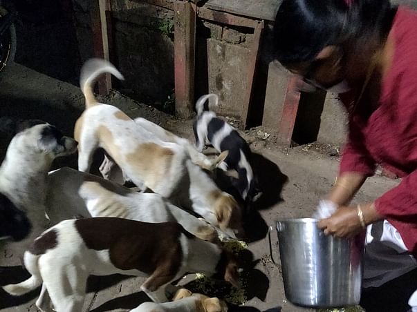 Help Sterilise Dogs inside Sealdah Platform