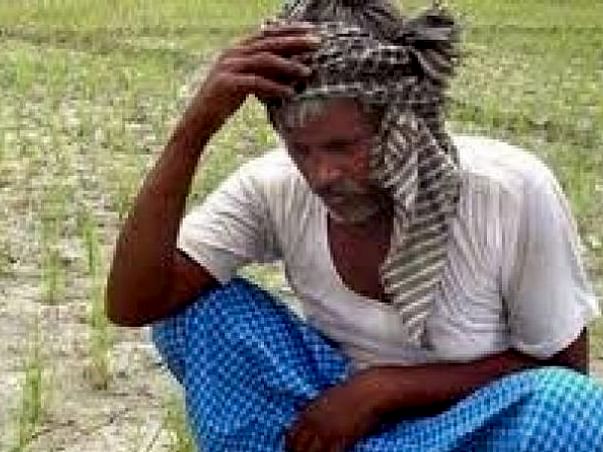 I want to help 100 farmer for this time COVID19