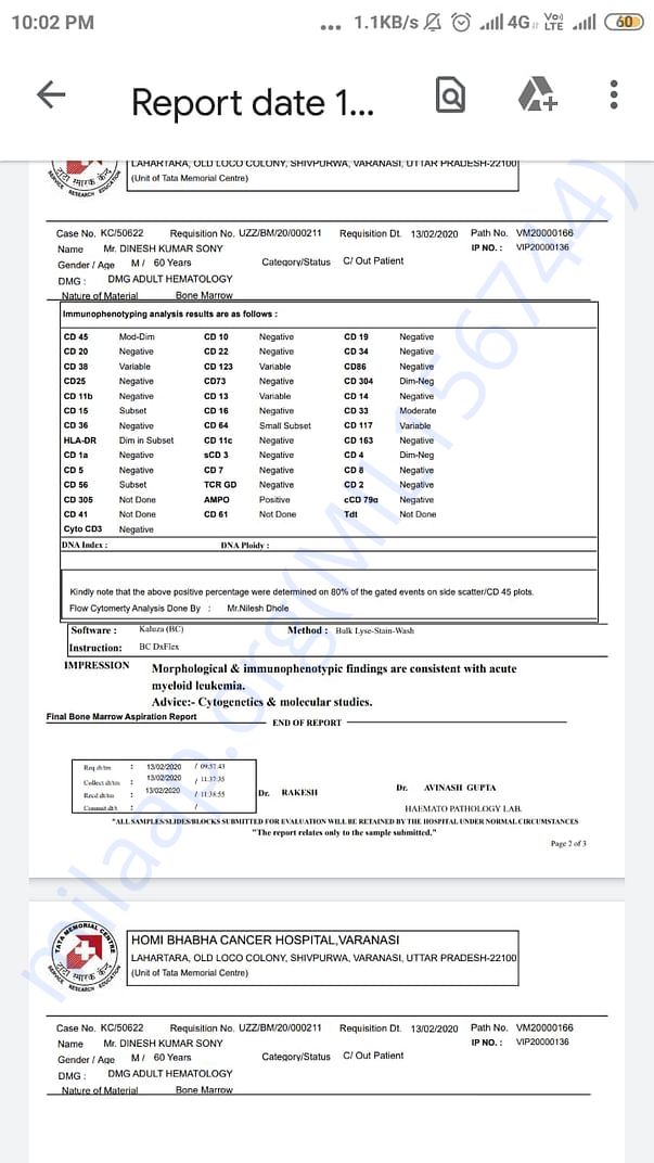 Acute leukemia report