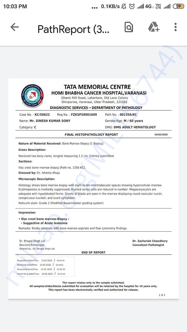 Acute leukemia report