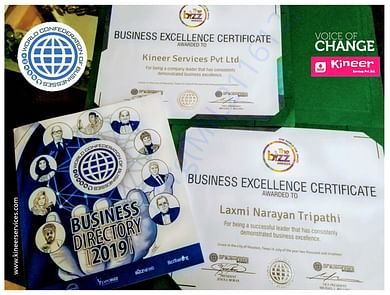 Biz business excellence award