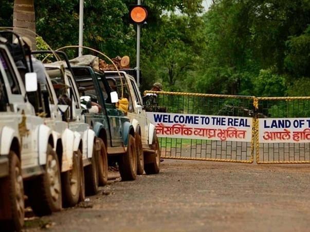 Support Your Safari Teams Tadoba