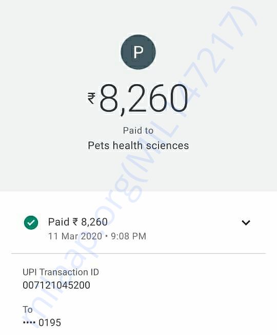 Payment Receipts