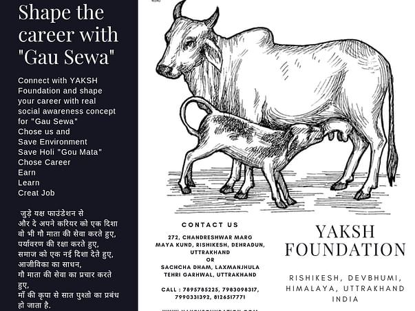 cow shelter for orphan old cows