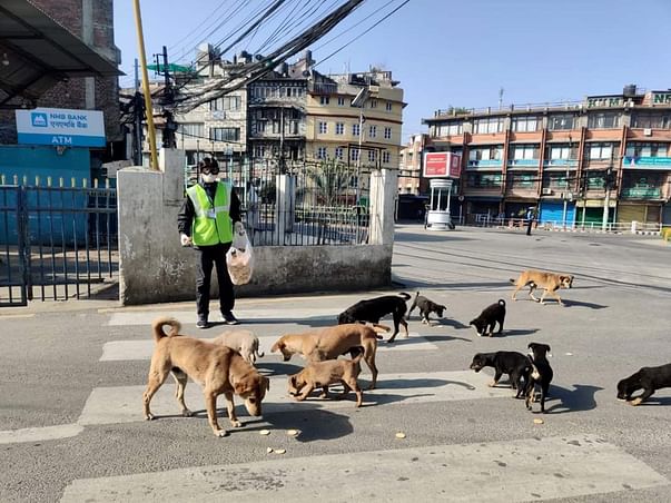 Food For Poor Animals