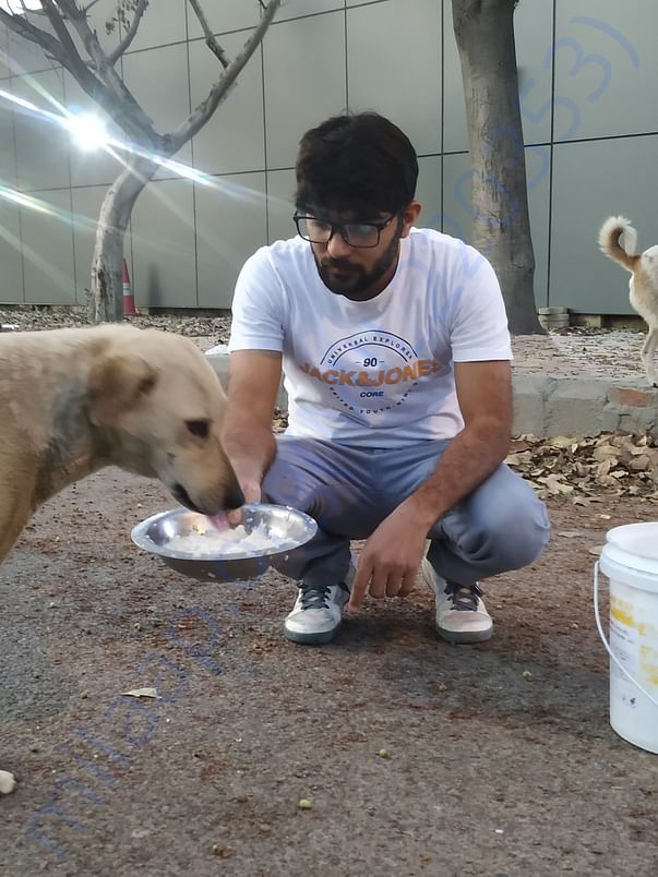 Feeding stray kids during lockdown