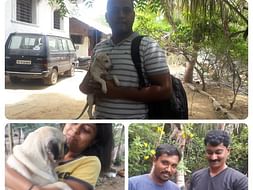 Support Yahshua Animal Trust To Support Shelter Work For Animals