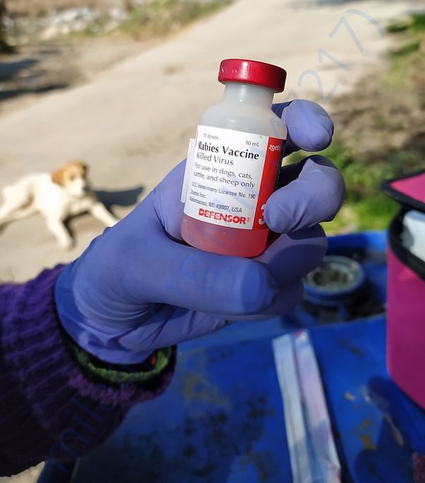 Anti-Rabies Vaccine for street dogs