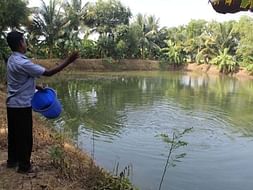 Help uplift the drowning fortunes of Odisha’s fish farmers