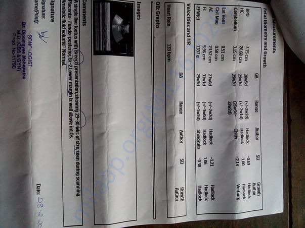 Ultrasound report page2