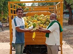 Help Banana Farmers During COVID-19 Lockdown
