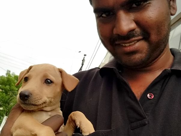 Helping street dog puppies