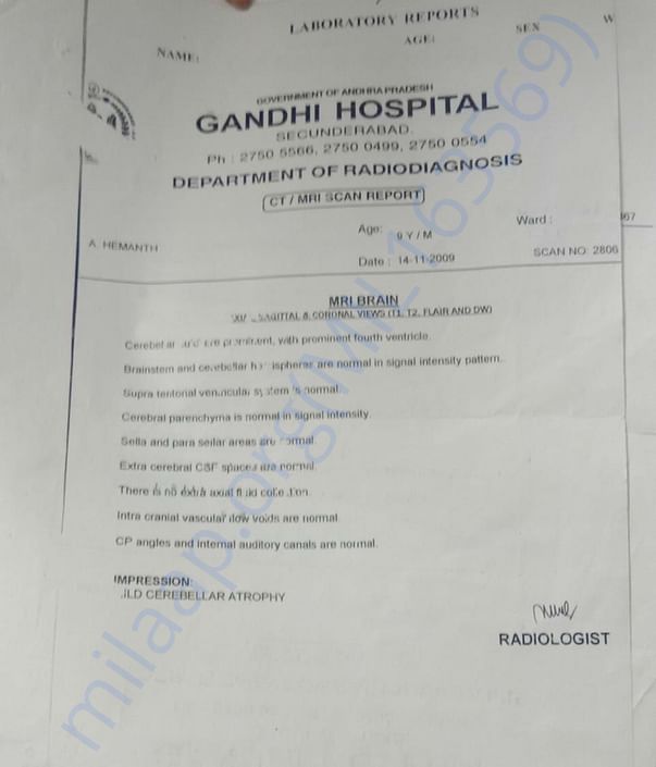 Document