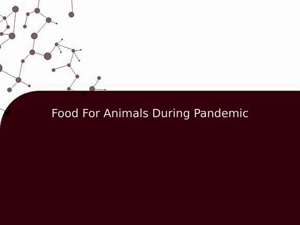 Food For Animals During Pandemic