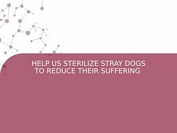 HELP US STERILIZE STRAY DOGS TO REDUCE THEIR SUFFERING