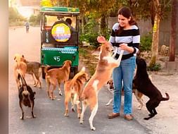 Support Rafat Ahmed In Providing Food To 1000 Stray Dogs In Noida