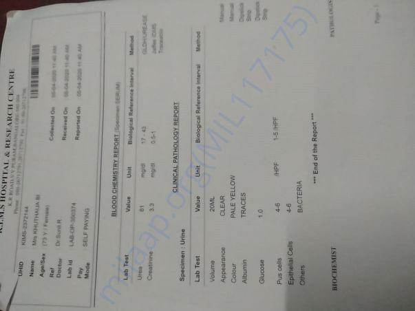Blood Report
