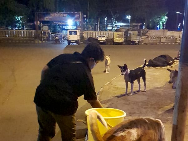 Help Sucheta To Continue Feeding 600 Dogs During This Lockdown Period