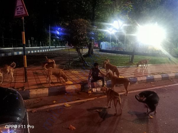 feeding at maidan