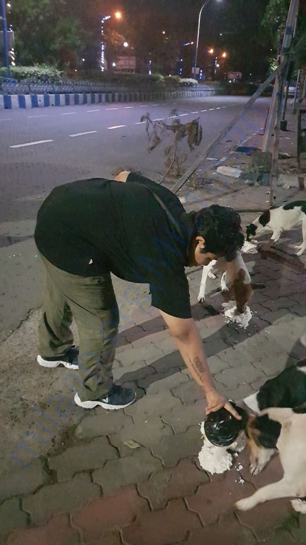 feeding