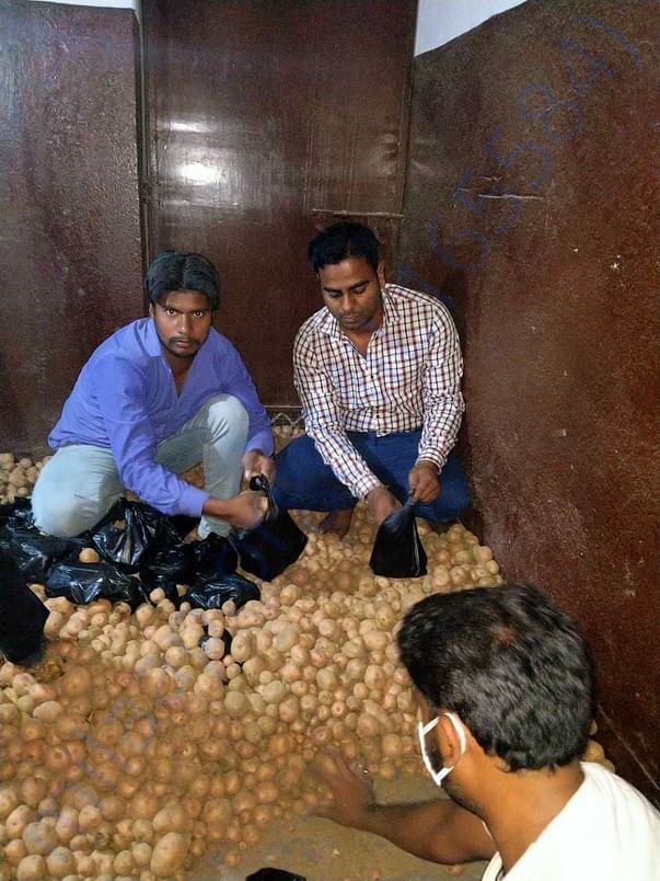 Packing Potatoes