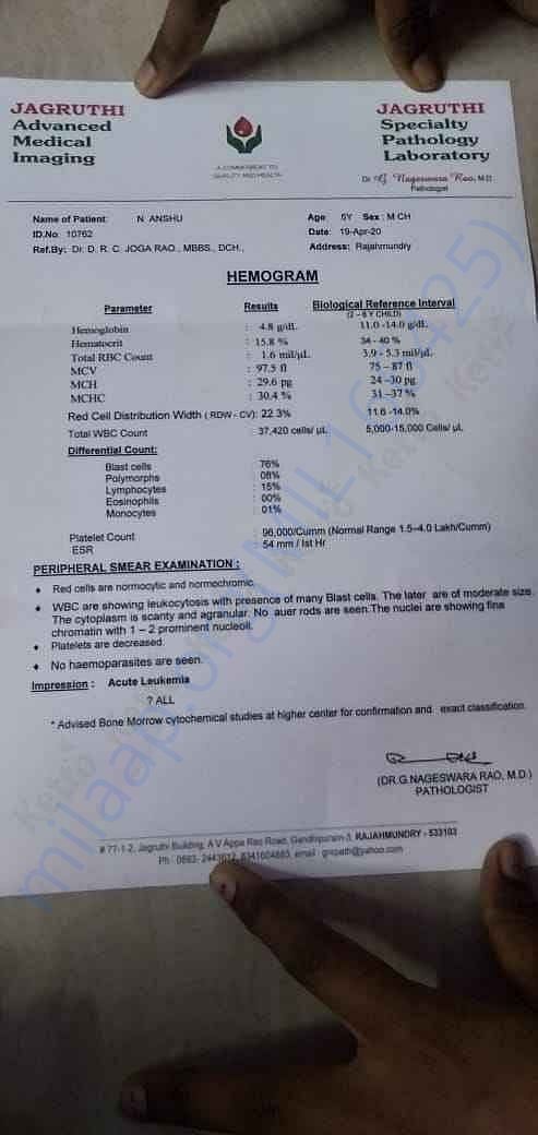 Report5