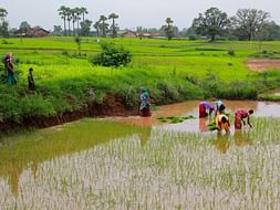 Help the struggling farming community of Tamil Nadu