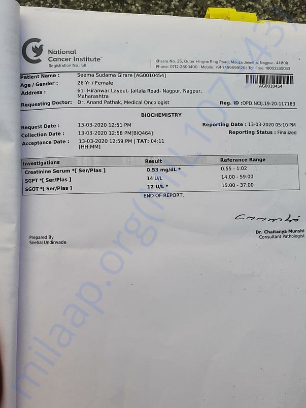 March month test report