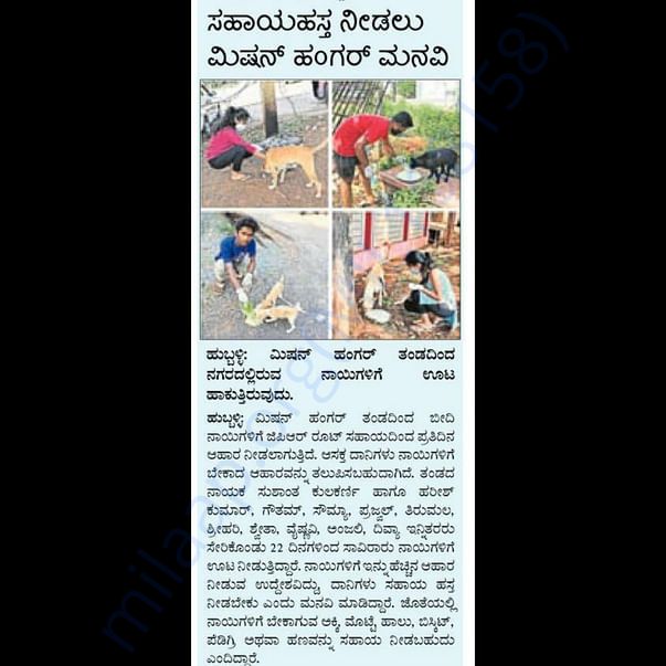 Newspaper